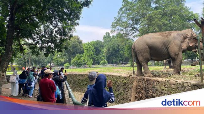 TM Ragunan is a cheap tourist place in the 80th anniversary of the Republic of Indonesia