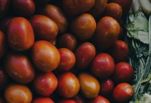 Make a distance from these vegetables in the rain!