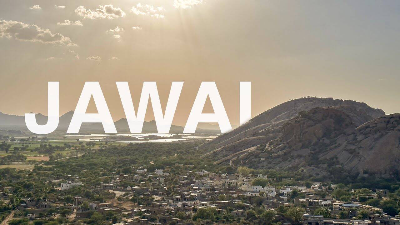 Know why heaven Jawai dam is for nature lovers in the video? Brilliant views together