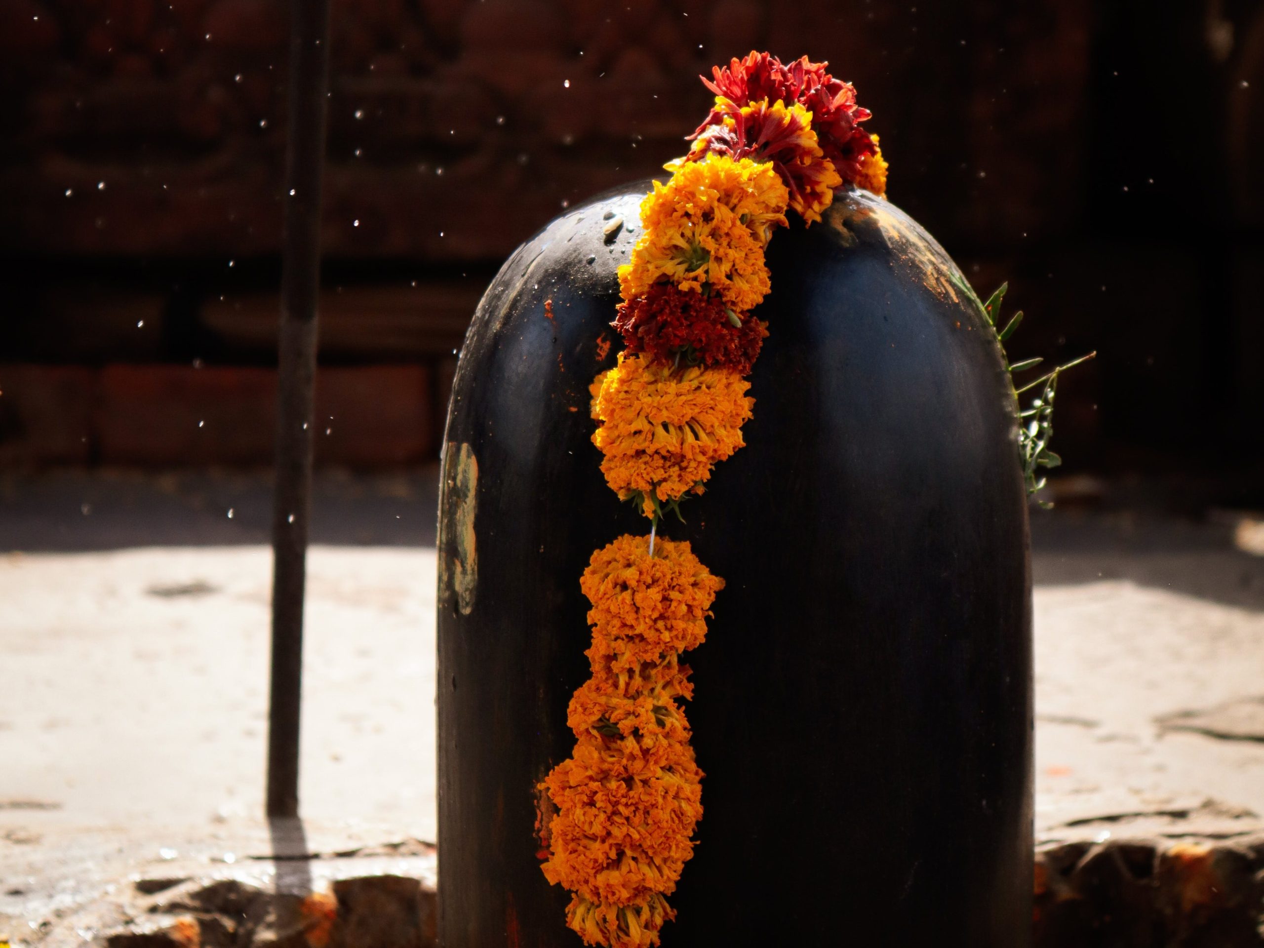 Worship Mahadev in Sawan so