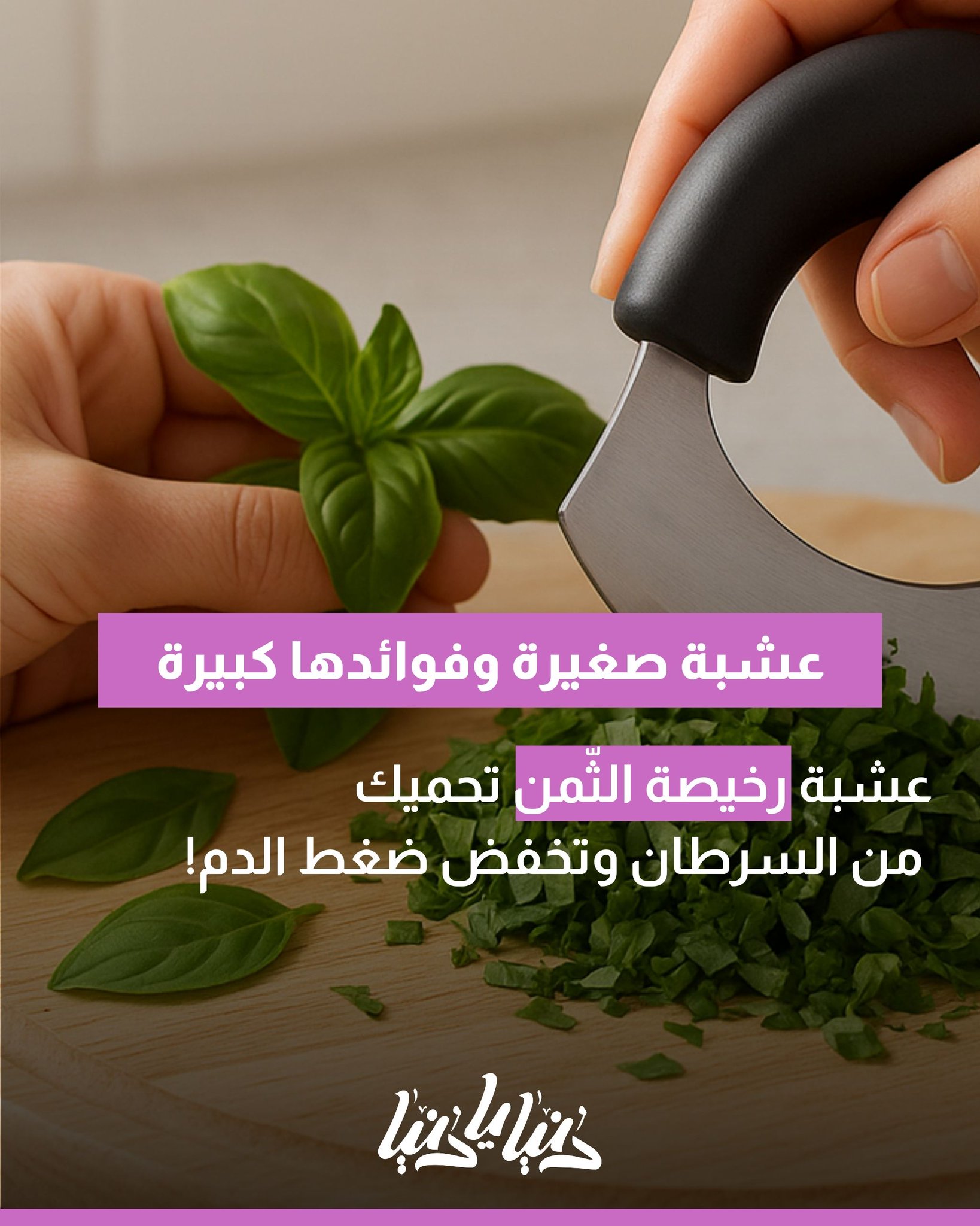 ضمّنها في وجباتك .. عشبة رخيصة الثّمن تحميك من السرطان وتخفض ضغط الدم