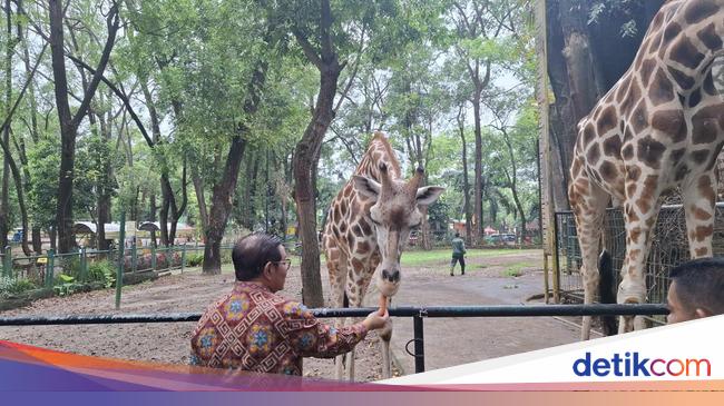 Review Ragunan Open Snag