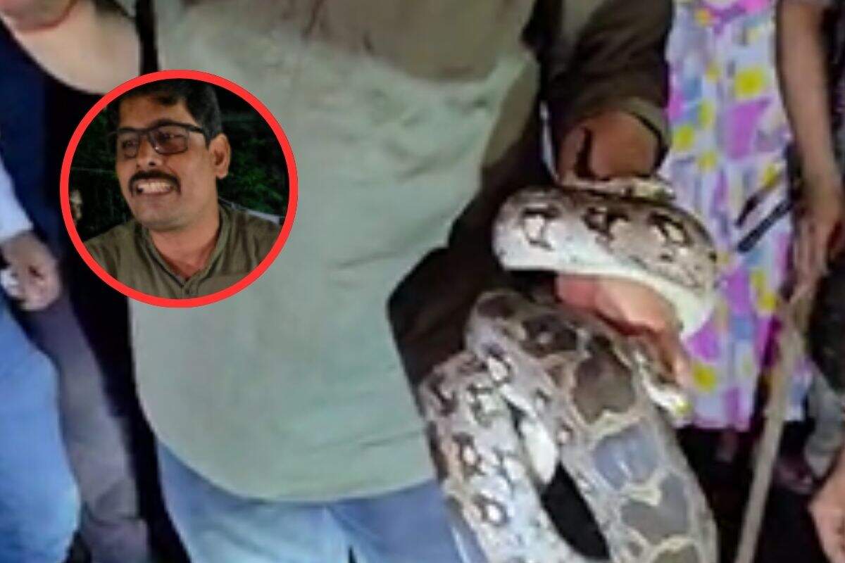 Python in the house in the Shukla Colony Ranchi, Sarpamitra did safe rescue