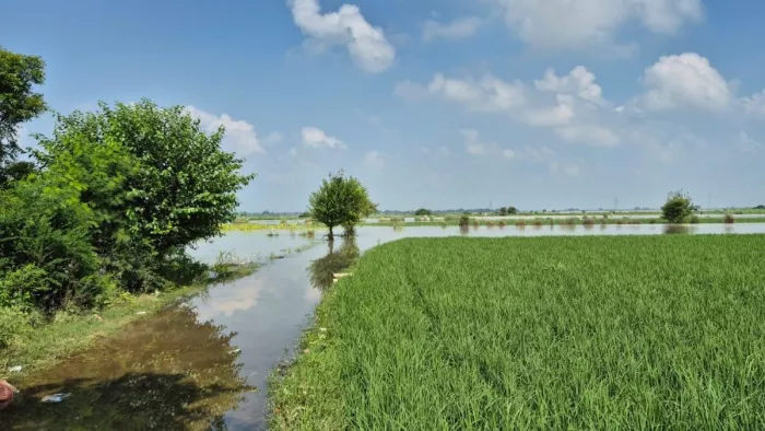 Yamuna rates