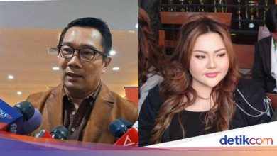RK DNA test results do not match her child, will Lisa Mariana apologize?