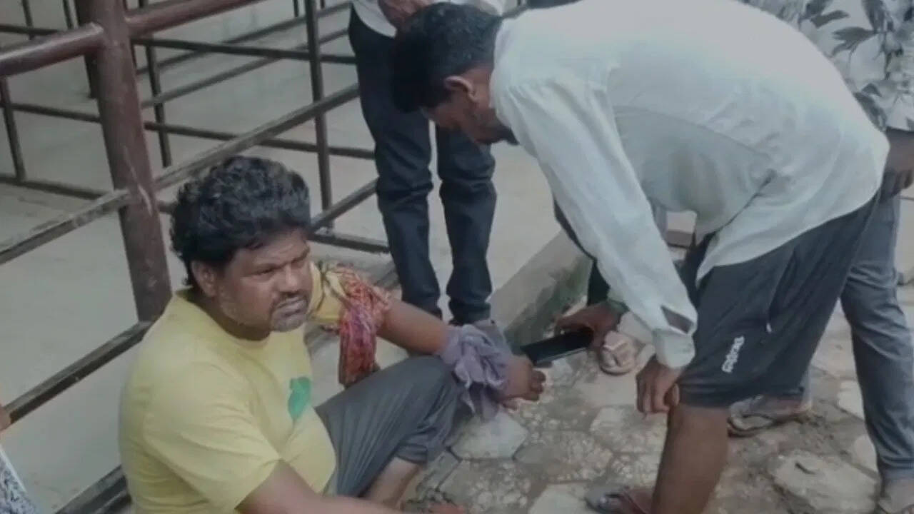Superstition became fatal in Katni, the tantrically taken away after cutting snakes, the condition deteriorated and reached the hospital