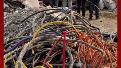 فيديو | الجهات الأمنية بمنطقة الرياض تقبض على مجموعة من الوافدين لسرقتهم كيابل كهربائية من…