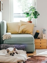 8 Things that will make at home LiveLi!