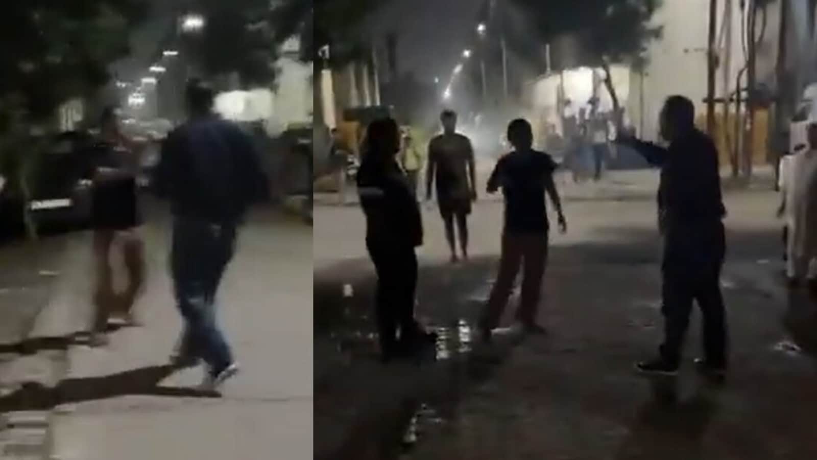 Viral Video: Ghaziabad wife has slapped several times about feeding stray dogs