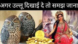 If the owl appears in this form, you must understand that it will start a good time, know the Shakun and bad drawings associated with the owl