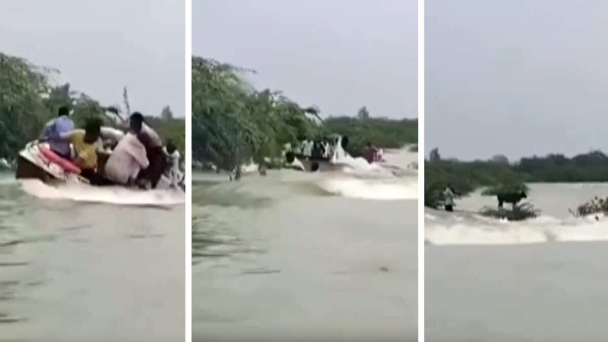 Rajasthan’s Eng scene! The soul will tremble a boat full of people who are reversed in a rapid flow after the death of a wonderful death in a viral video