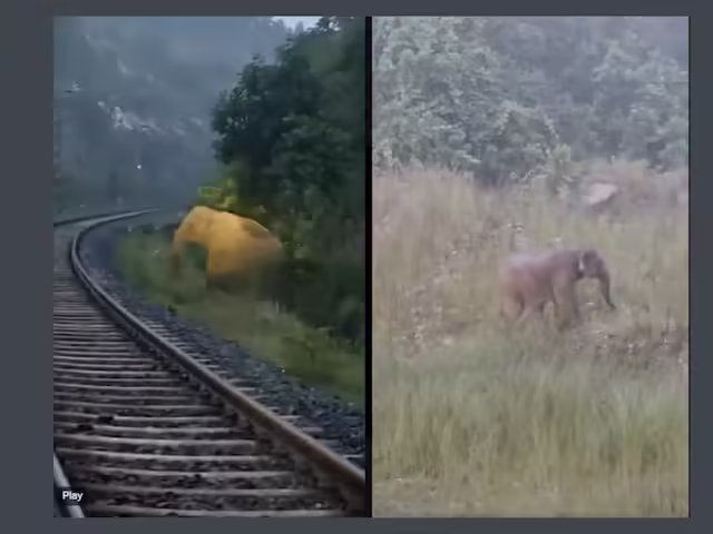 The train coming from the front had on the track fun