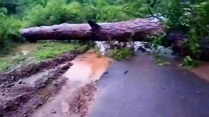 Route blocks due to landslides on Baripatan Road in Rajouri, the traffic affected for 3 hours – landslide in Sunderbani disrupts traffic after heavy rain