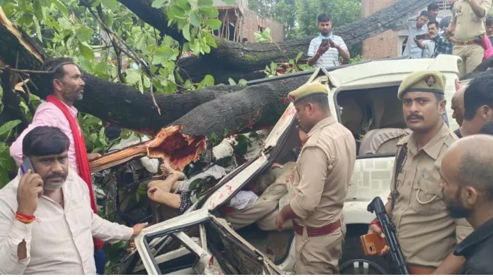 In the midst of rain in Chitrakoot, a big tree has fallen on top of the car, the elderly dead, three injured tragic accident tree falls on the car in Chitrakot One Dead
