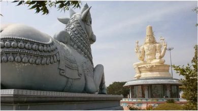 Why is Nandi’s face to Shivling in every Temple of Mahadev? The mysterious story of Bholenath becomes a ride in the video
