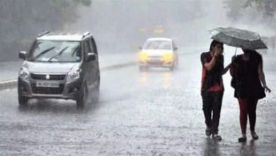 Monsoon clouds kind, the state is drenched every day
