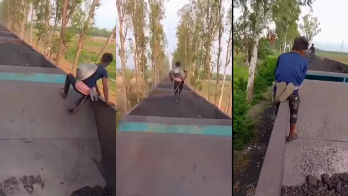 Jharkhand: The theft of coal in movie style of moving freight train, entangled and gives arrangement to the system – Viral video tils perform dangerous stunts while stealing coal from the train in Jharkhand