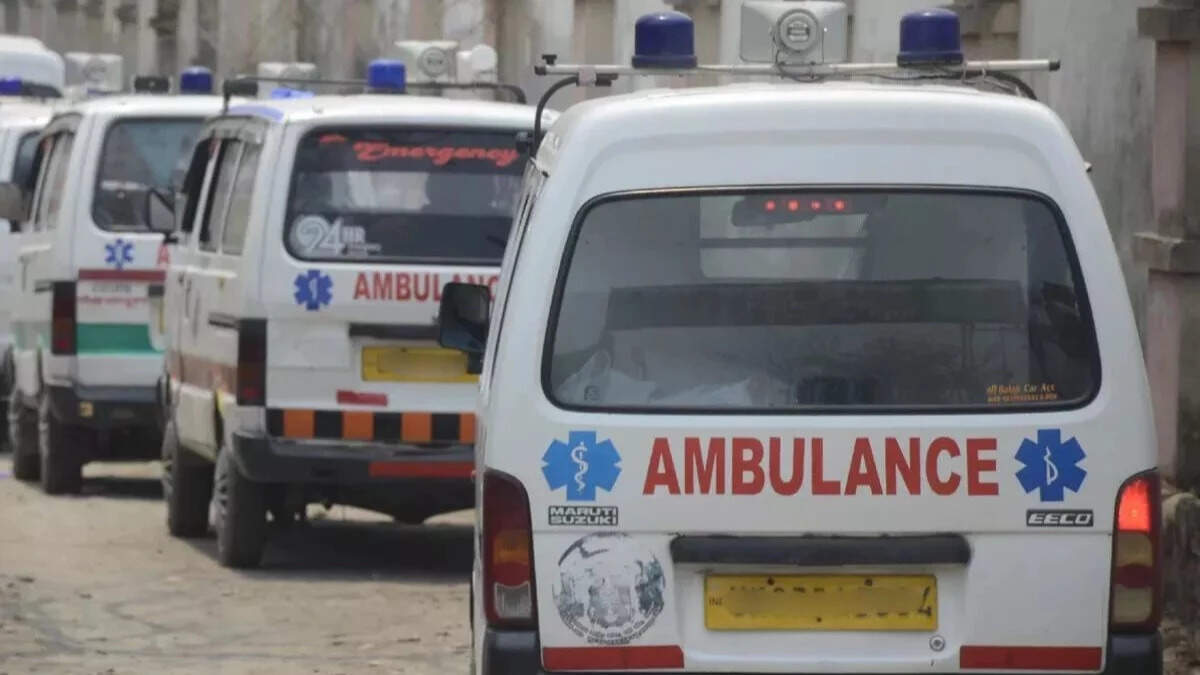 Ambulance overturned to save Nilgai, pregnancy gave a child with shock gesture