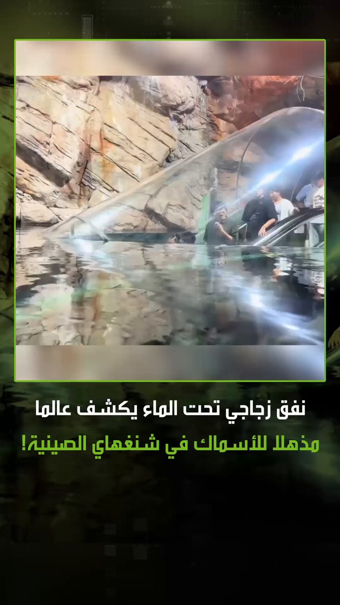 تجربة ساحرة وسط الكائنات البحرية .. نفق زجاجي مذهل في مدينة شنغهاي الصينية يأخذك بجولة تحت…