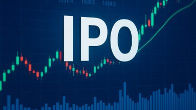 NIS Management IPO Day 1: GMP, Subscription Status, Price Tire, Other Details of BSE SME IPO
