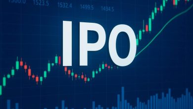 Shreeji Shipping Global IPO: GMP in front of the list of signals strong debut for stocks