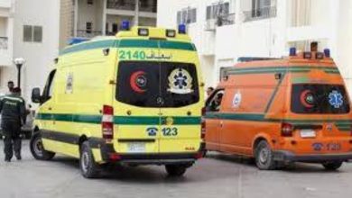 بالخبز المسموم.. زوجة الأب تُنهي حياة 6 أطفال ووالدهم في مصر