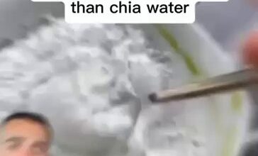 أيهما أفضل، تناول بذور الشيا مع الماء أو الزبادي