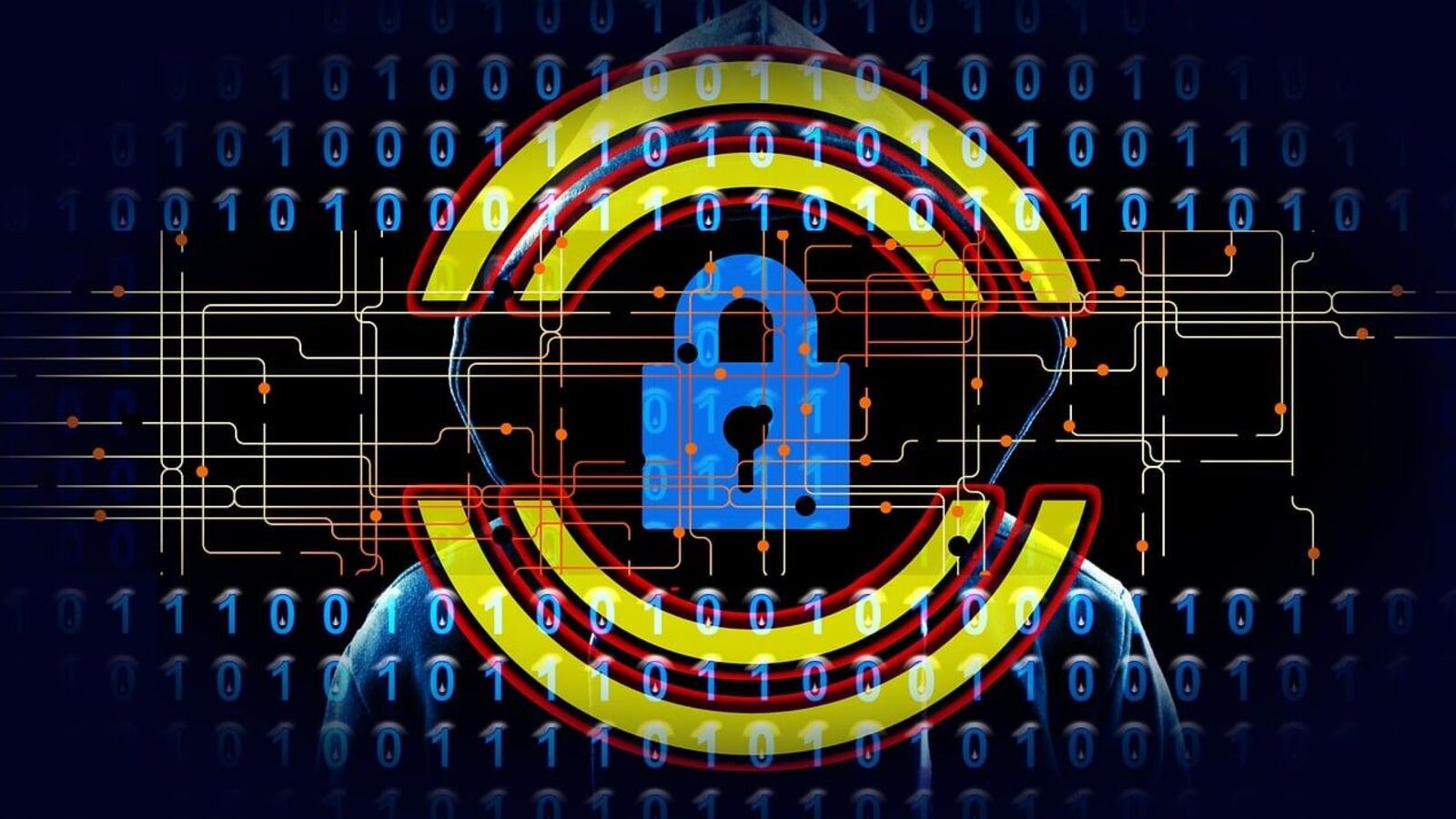 Collect your telephone apps too much data? Here’s how to detect privacy risks