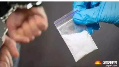Himachal News: CID Employees arrested on financial transactions of Chitta smugglers, so far 26 have caught government employees -Himachal police CID CONSTABLE who smuggled in Chitta, 26 employees involved