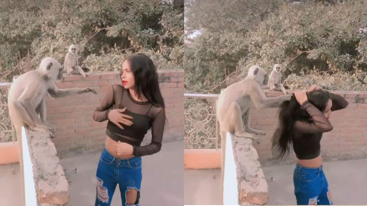 The girl had to pay a heavy price for making the pulley! Monkey did a bad condition with scratching, won’t stop watching viral video
