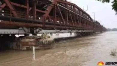 Hamirpur News: Man jumped in Yamuna after a quarrel with his wife and then swam to save his life -Hamiirpur -man survives 16 hours in Yamuna River after dispute