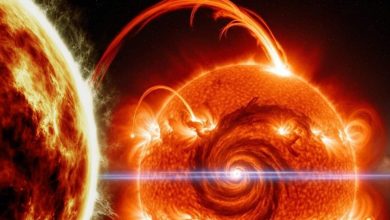 People duplicate has been heard, now the sun also made … finished with the help of Ai