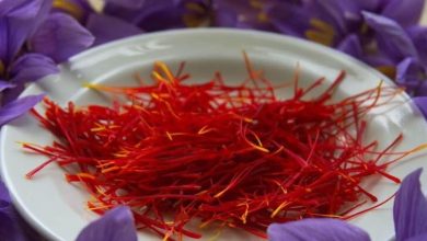 Before you buy, this is the identity of real saffron taking on these methods