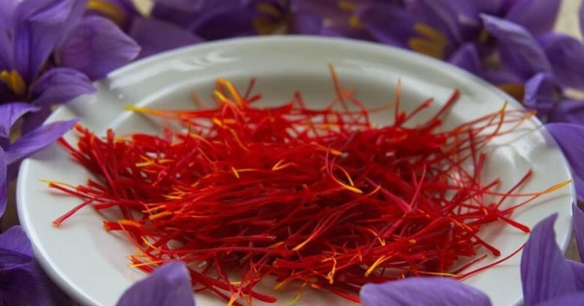 Before you buy, this is the identity of real saffron taking on these methods