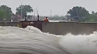 Cry out due to heavy rains in Rajasthan, flooding in many districts; School closed – Rajasthan flooding heavy rainfall causes schools to be closed rescue operations in progress
