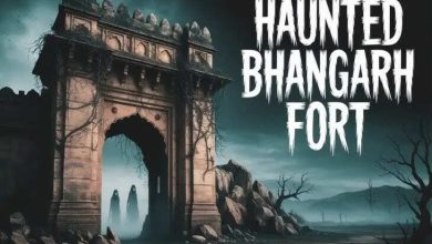 Why is Bhangarh Fort called India’s Most Ghost Fort, why is the government afraid to go here in the video?