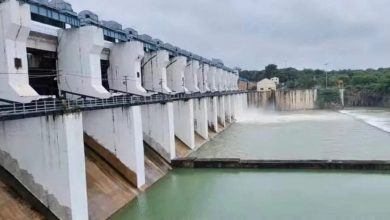 Water was released from the gangeldam, crowd tourists collected