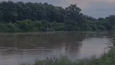 The water level of rivers and dams due to rain in the Kaimur district, the safe movement of residents is difficult