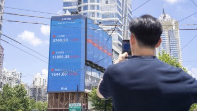 China shares have disturbing signals amid an increase not supported by the economy