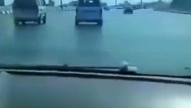 فيديو متداول وثقه شابان من داخل سيارتهما لتهور سائق ميكروباص على الطريق الدائري بالقاهرة