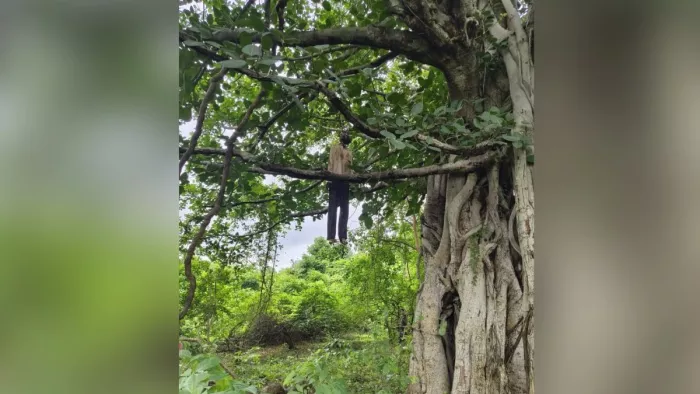 Crime News: Anesthesia found that he is hanging on Banyan Tree in Palamu, police sweat in the investigation – Ranchi News Skeletal Regs hanging in Hariharganj Forest