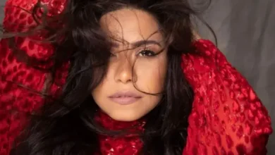شقيق شيرين عبدالوهاب يصدر بيانًا رسميًا ويطالب الإعلام بتحري الدقة