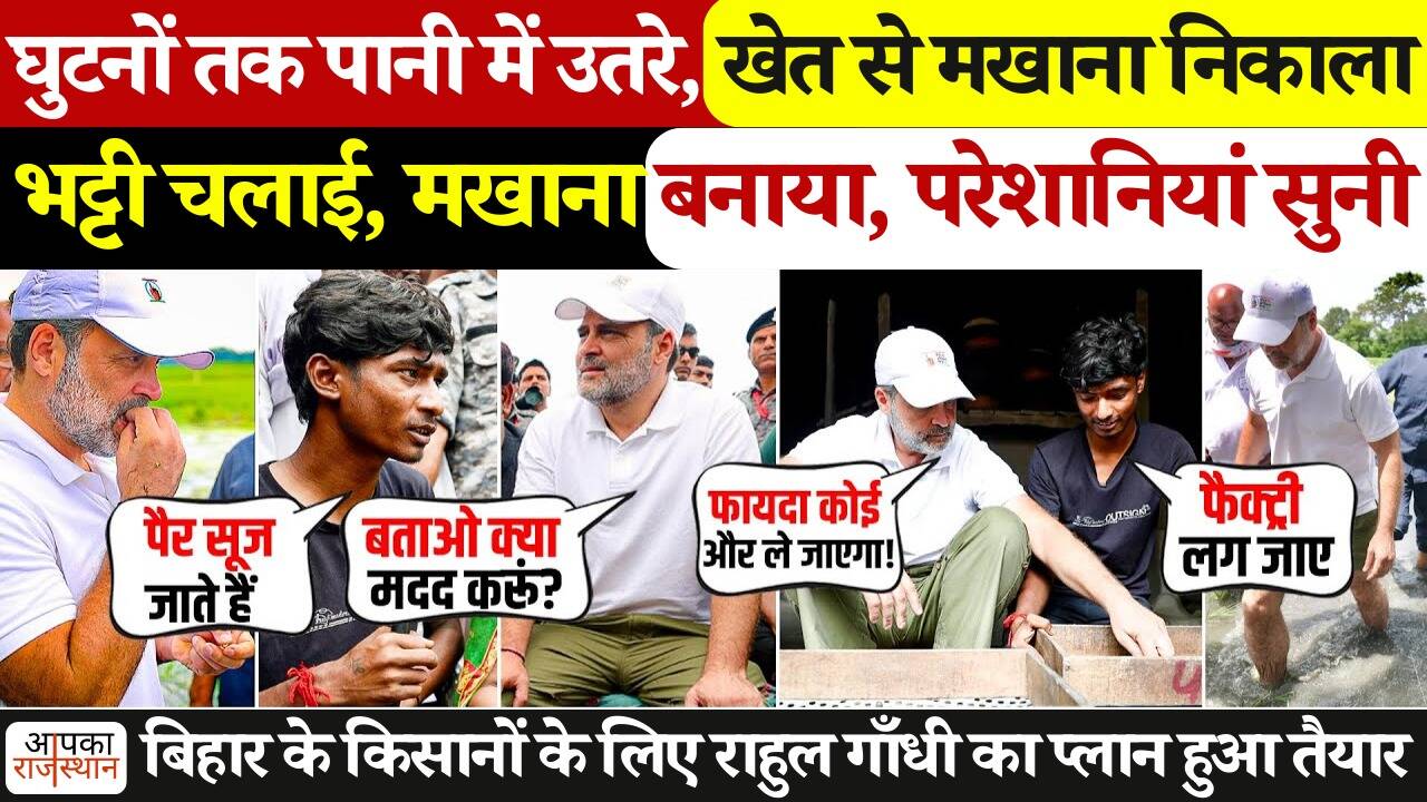 Rahul Gandhi reaches farmers! Makhana has removed in water to knees, the production of farmers in video and math of profits