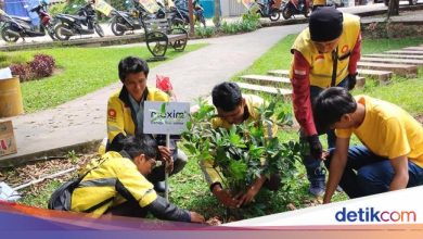 Maxim invites a driver’s partner who plants a tree clean the garden and beach