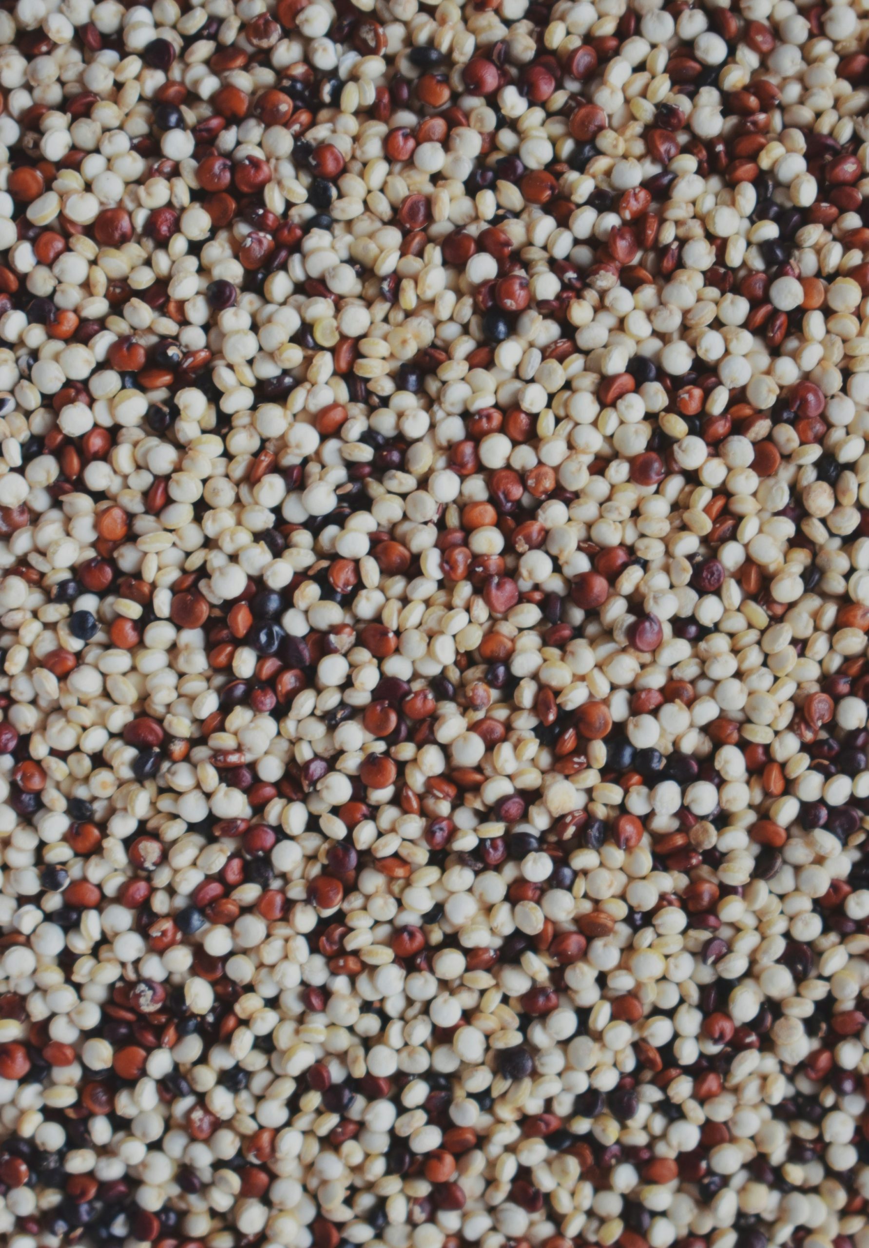 Which countries are at the forefront of the cultivation of Quinoa?