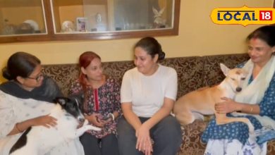 Pet Dogs News: Dog is held in the house then do this work immediately, otherwise you can take the last date