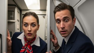 In the toilet of the plane … air hostess had such a condition, shocked fellow, quickly closed eyes