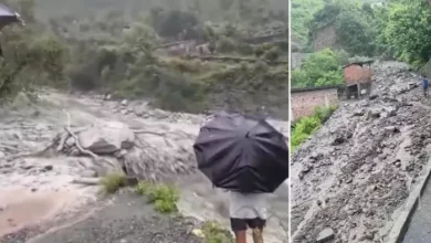 Hardiwar News: Heavy rain in the Dhanori region damages the heights. Pitkul started rescue work – floods in Roshanabad damaged power lines Rescue efforts going on