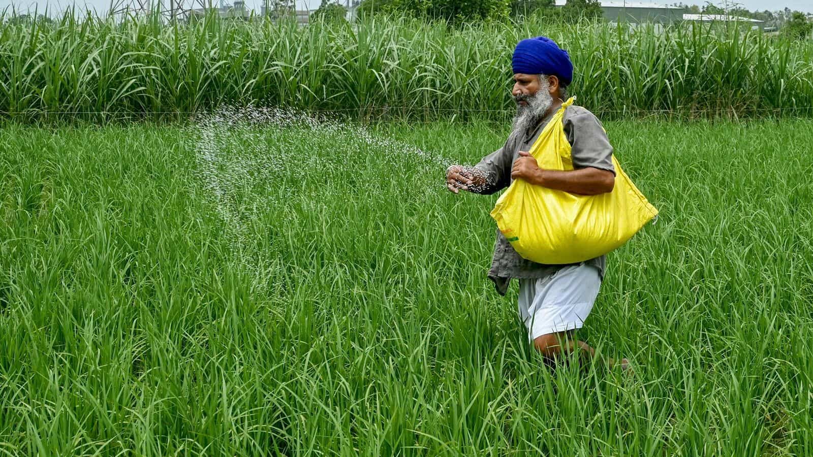 In the midst of thawing, China to revive fertilizer supply to India soon