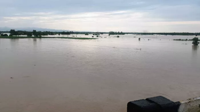 Pong Dam: Water is released from Pong Dam; Water level three feet above the danger mark, NDRF handled the front – Pong Dam Water Level Dangerous NDRF and SDRF deployed for the revival